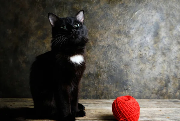 Yeşil Gözlü Kara Kedi Oturur Kırmızı Bir Iplik Yumağının Yanına — Stok fotoğraf