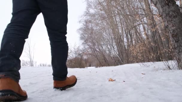 Homme Chaussures Marron Clair Marche Dans Parc Hiver — Video