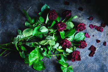 Yerde ölü taç yaprakları olan solmuş kırmızı güller.