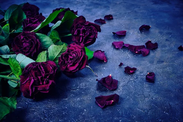 Букет Выцветших Красных Роз Мертвыми Лепестками Полу — стоковое фото