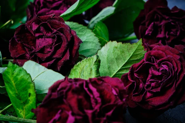 Букет Выцветших Красных Роз Мертвыми Лепестками Полу — стоковое фото