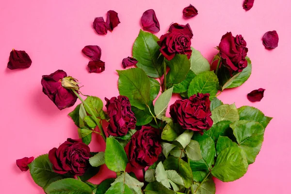 분홍색 배경에 꽃다발 — 스톡 사진