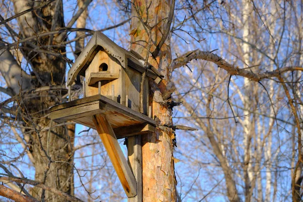 Vogelhaus Auf Einem Baum Baumhaus — Stockfoto