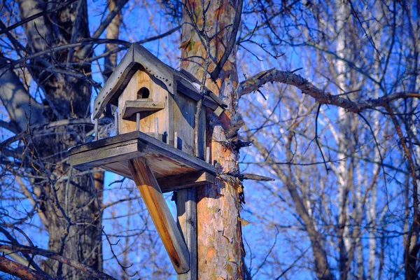 Vogelhuisje Aan Een Boom Boomhut — Stockfoto