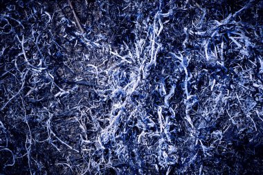 Siyah arkaplan, yanmış, kuru çimenlerin külleri