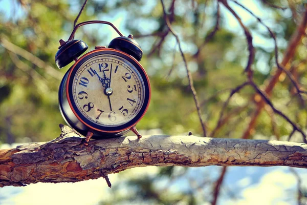 Parlak Ilık Bir Bahar Gününde Ormanda Eski Bir Çalar Saat — Stok fotoğraf