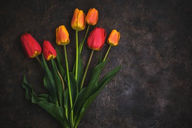 Siyah bir fonda yedi kırmızı ve sarı lale.