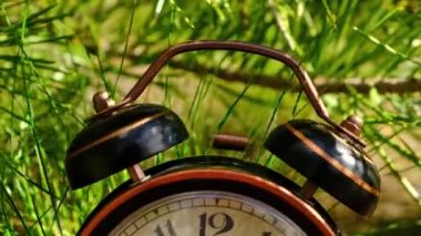 Yeşil çimenler ve çam dalları arasında eski bir çalar saat çalar..