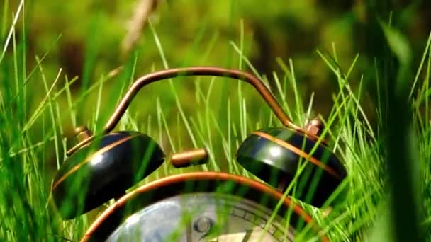 Old Retro Alarm Clock Rings Green Grass Pine Branches — Stock Video