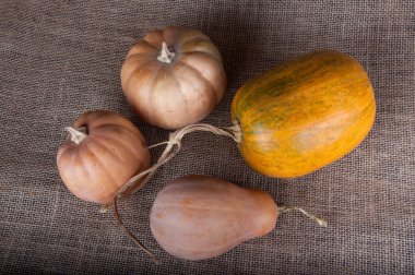 Dört kabaklar bej çul döşeme