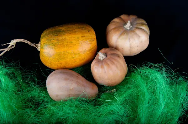 Quatre citrouilles orange dans l'herbe verte sur fond noir — Photo