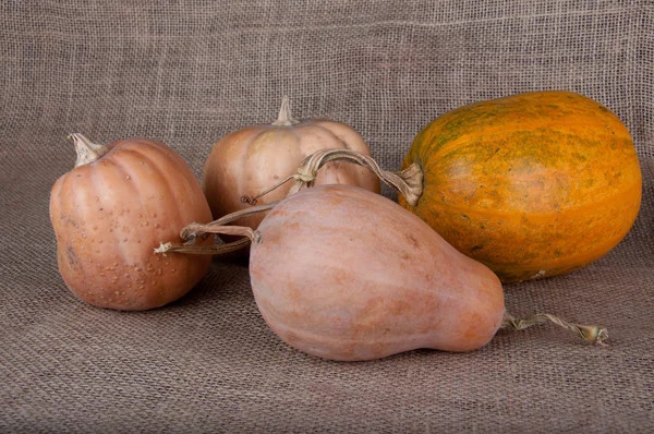 Four different size pumpkins laying on table — Stock Photo, Image