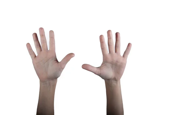 Две человеческие руки показываются ладонями вверх. Isolated — стоковое фото