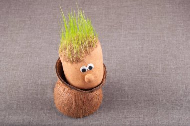 Küçük oyuncak adam gitmedenen ile gri kumaş zemin üzerine Hindistan cevizi kabuğu saç sit olarak filizlenir. Metin için yer