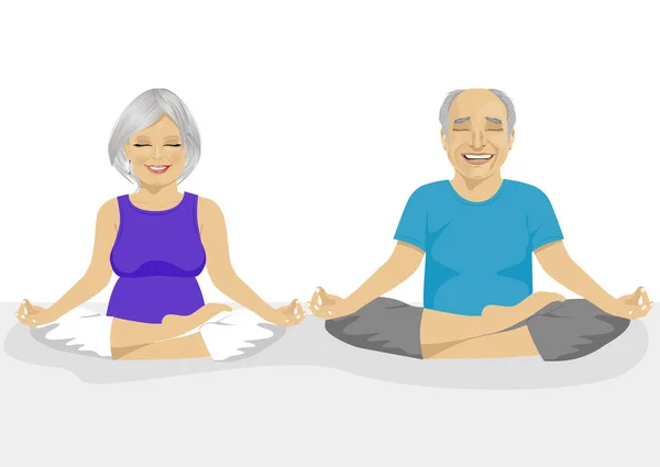 Senior couple doing yoga. Body and mind in harmony with nature. — Stock Vector