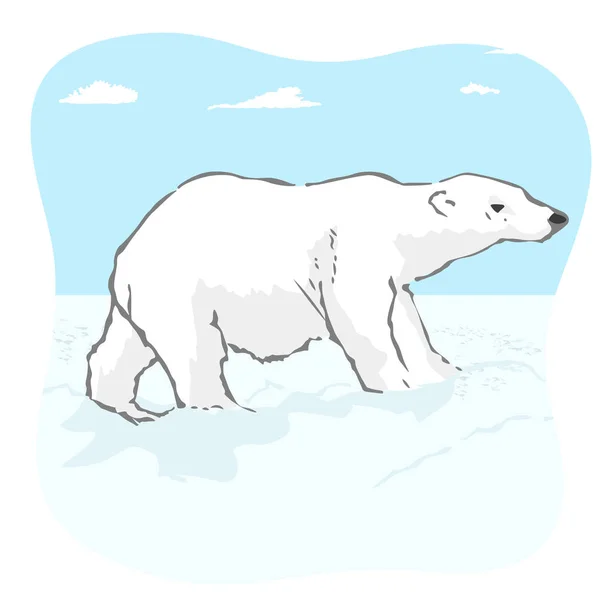 北極のツンドラ地帯に巨大なホッキョクグマ — ストックベクタ