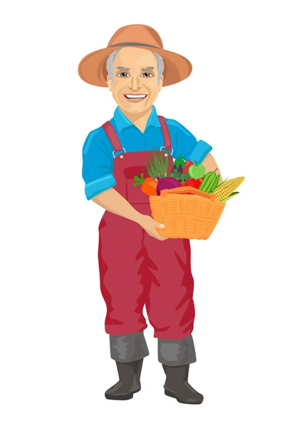 Літній чоловічий садівник у комбінезоні з кошиком зі свіжих овочів — стоковий вектор
