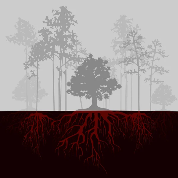 Розділити ілюстрації з деревами і червоними коренями. Туман у лісі — стоковий вектор