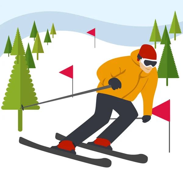 Mountain skier slides from mountain with coniferous trees and flags — Stock Vector