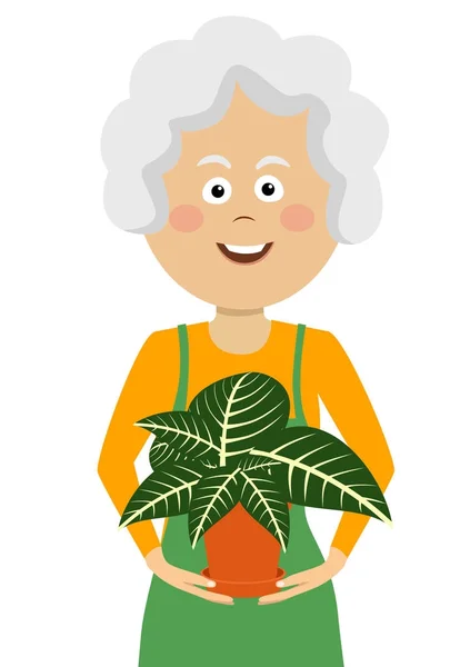 Mulher de jardineiro idosa que mantém a flor em um pote no branco — Vetor de Stock