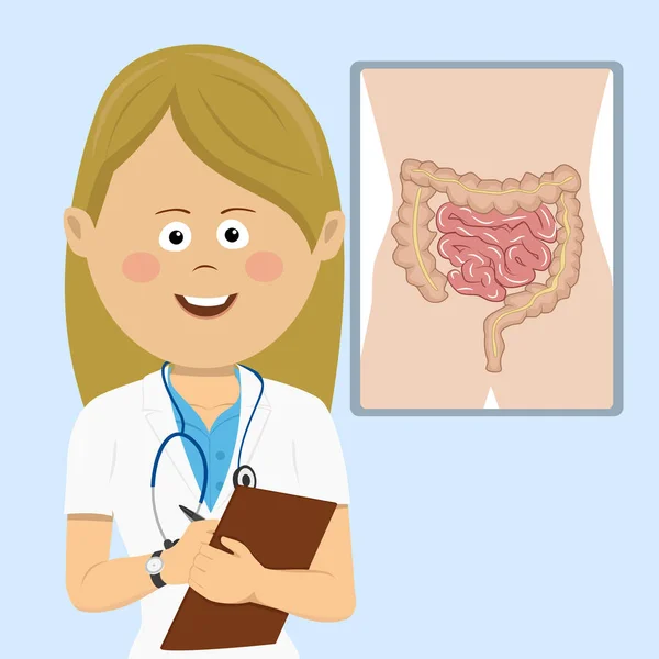 Mujer joven médico con portapapeles de pie junto a la placa del tracto gastrointestinal — Vector de stock