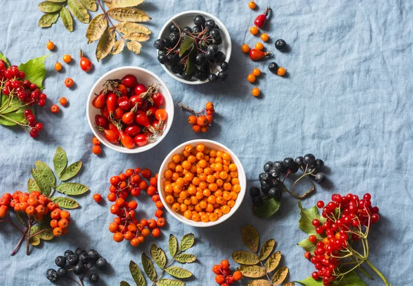Forest autumn berries - sea buckthorn, ashbery, viburnum, rose hips on a gray background, top view. Super food ingredients vegetarian healthy concept
