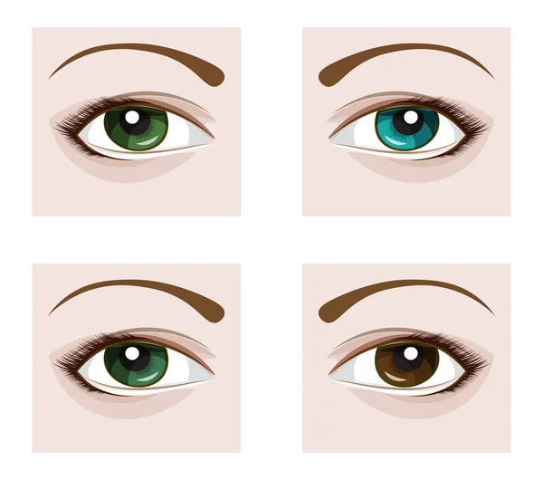 Vektor Auge mit Wimpern — Stockvektor