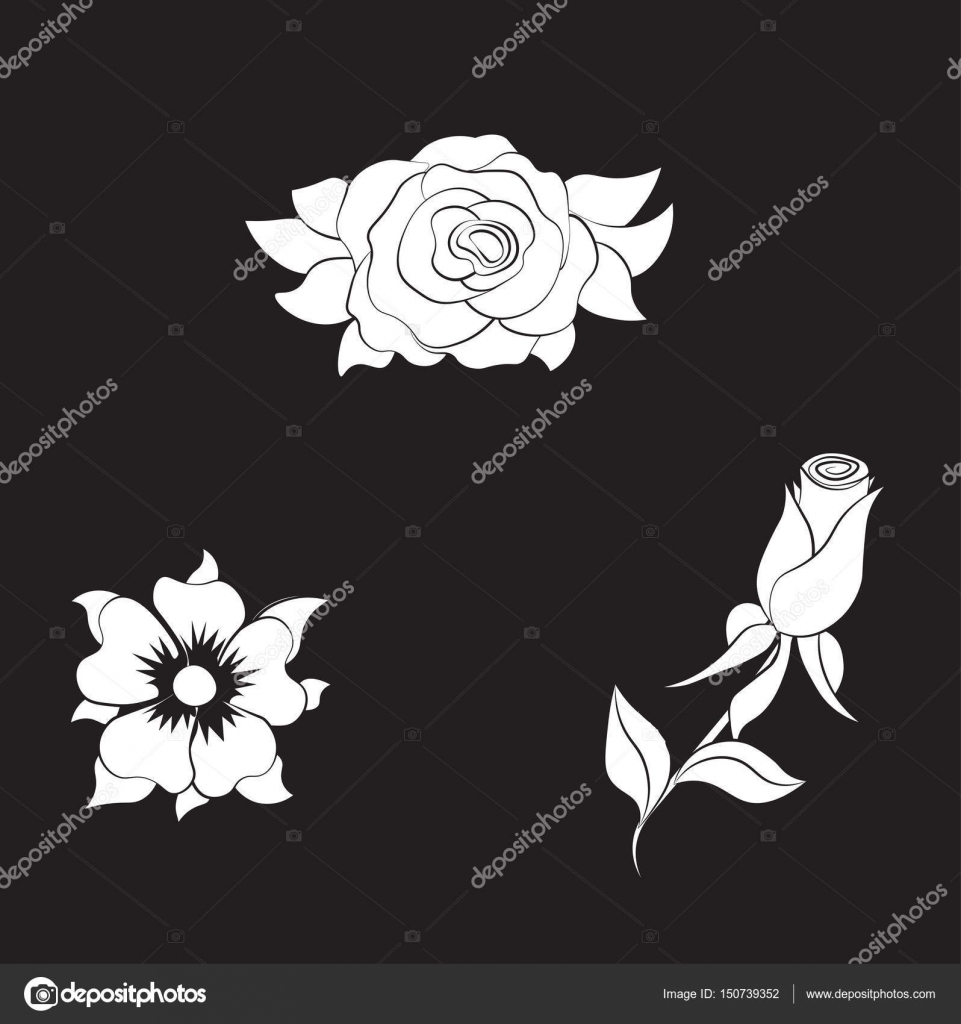 Bloem Roos Kleurplaten Stockvector Lollitta 150739352