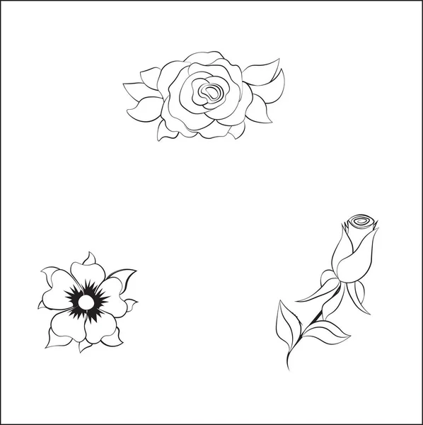 Květ růže omalovánky — Stockový vektor