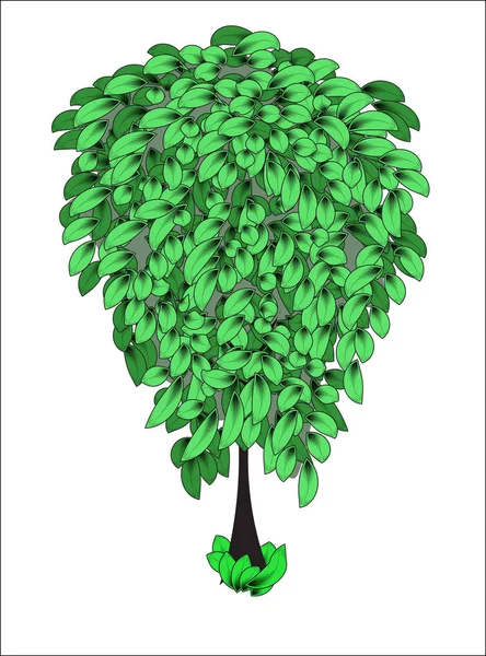 Magischer grüner Baum — Stockvektor