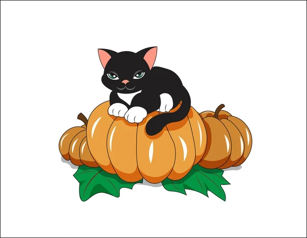 Чорний кіт на гарбузі — стоковий вектор