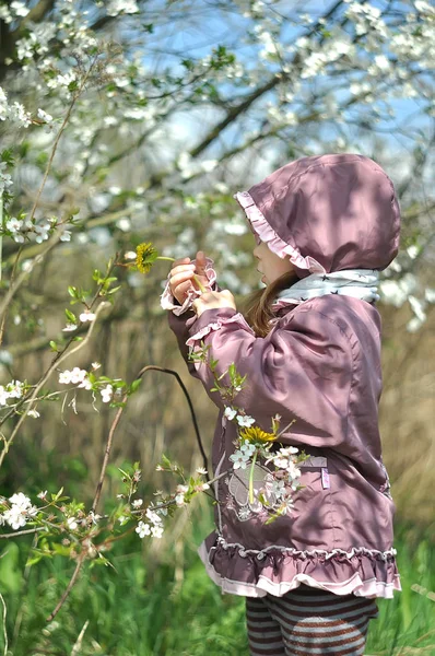 Ładny mały ogród dziewczyna w kwitnących wiśni na piękny dzień wiosny — Zdjęcie stockowe