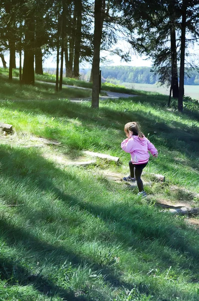 Entzückendes kleines Mädchen rennt die Holztreppe im Wald hinauf. sonniger Tag — Stockfoto