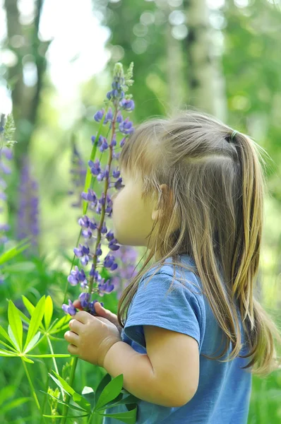 Kleines Mädchen beim Spielen im sonnigen blühenden Wald. Kleinkind pflückt Lupinenblumen. Kinder spielen im Freien. Sommerspaß für Familie mit Kindern. — Stockfoto