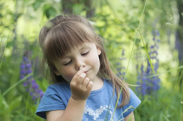 Niña jugando en el soleado bosque floreciente. Niño recogiendo flores de altramuz. Los niños juegan al aire libre. Diversión de verano para familia con niños . — Foto de Stock