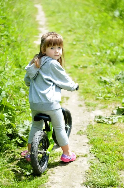 Çocuk şirin küçük kız binicilik bisiklet ormandaki — Stok fotoğraf
