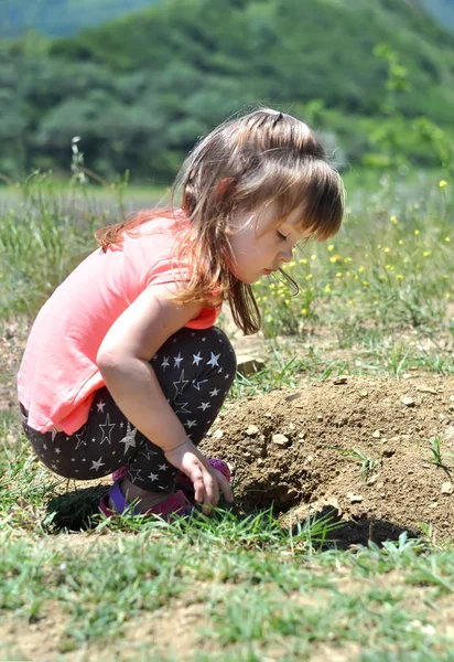Милая маленькая девочка играет с травой в горах Кавказа — стоковое фото