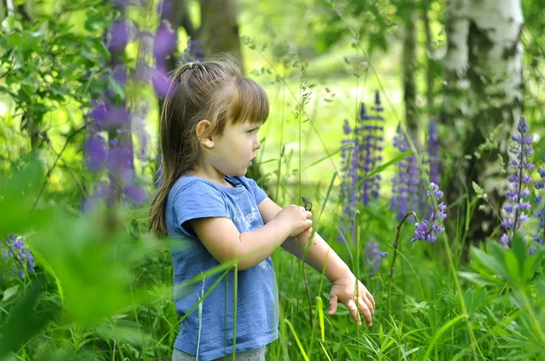 Kleines Mädchen beim Spielen im sonnigen blühenden Wald. Kleinkind pflückt Lupinenblumen. Kinder spielen im Freien. Sommerspaß für Familie mit Kindern. — Stockfoto