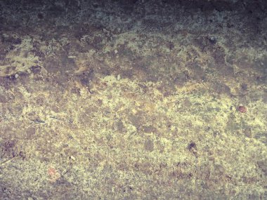 toprak toprak yol doku