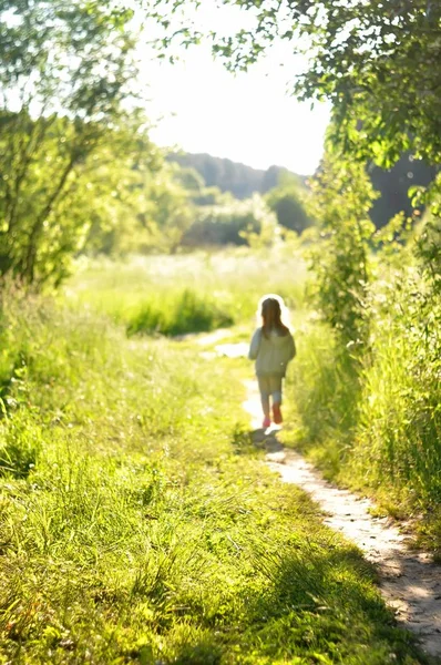 Defokussiert unscharfen Hintergrund. kleines Mädchen in grau auf dem Weg in den sonnigen Wald. Konzept von Freiheit, Träumen, Meditation, Motivation. — Stockfoto