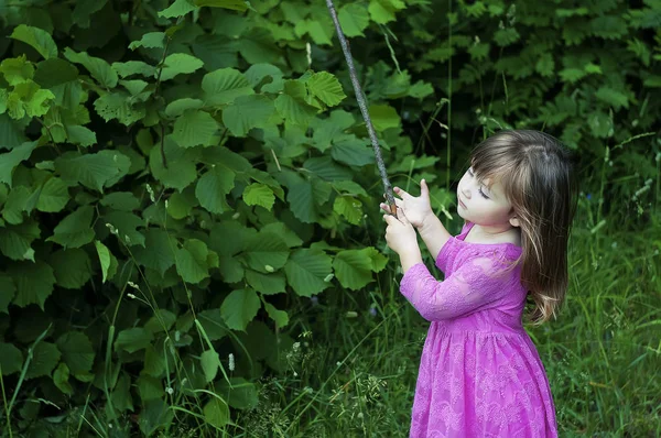 Schattig meisje in roze jurk in het forest. Forest nimf. Zonnige dag — Stockfoto