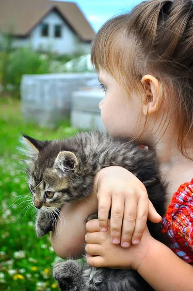 Portrait extérieur d'une jolie petite fille avec petit chaton, fille jouant avec chat sur fond naturel — Photo