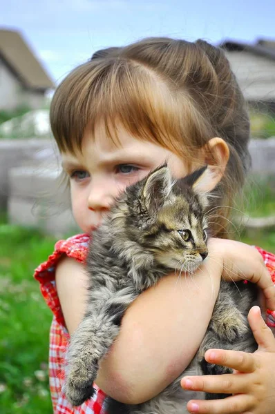 Venkovní portrét roztomilé holčičky s malým kotětem, dívka si hraje s kočkou na přírodní pozadí — Stock fotografie