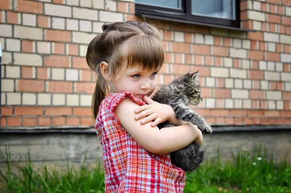 Venkovní portrét roztomilé holčičky s malým kotětem, dívka si hraje s kočkou na přírodní pozadí — Stock fotografie