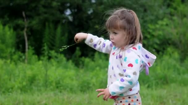 Hezká dívka stojící a hrát si s trávou, vítr ve vlasech — Stock video