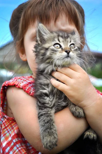 Außenporträt eines niedlichen kleinen Mädchens mit kleinen Kätzchen, Mädchen spielt mit Katze auf natürlichem Hintergrund — Stockfoto