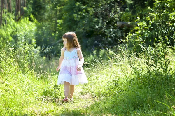 Sevimli küçük kız ormanda beyaz elbiseli. Orman perisi. Güneşli gün