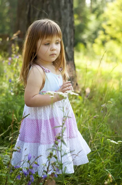 Rozkošná holčička v bílých šatech v lese. Lesní víla. Slunečný den — Stock fotografie
