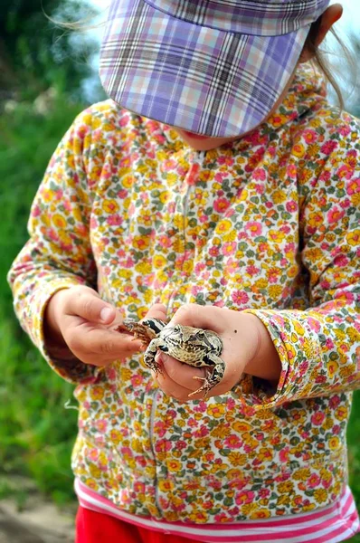 Милая маленькая девочка держит лягушку в руках и смеется. — стоковое фото