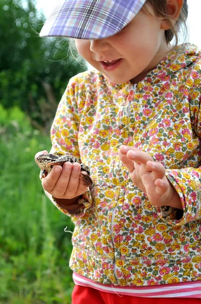 Милая маленькая девочка держит лягушку в руках и смеется. — стоковое фото